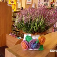 Zdjęcie kwiatów wręczonych pani bibliotekarce, są to fioletowe wrzosy w wiklinowej doniczce ozdobionej wykonanymi na drutach kwiatami.
