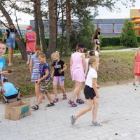 W trakcie zajęć dzieci wyszły na zewnątrz i zbierają do kartonu szyszki znalezione w okolicy biblioteki.
